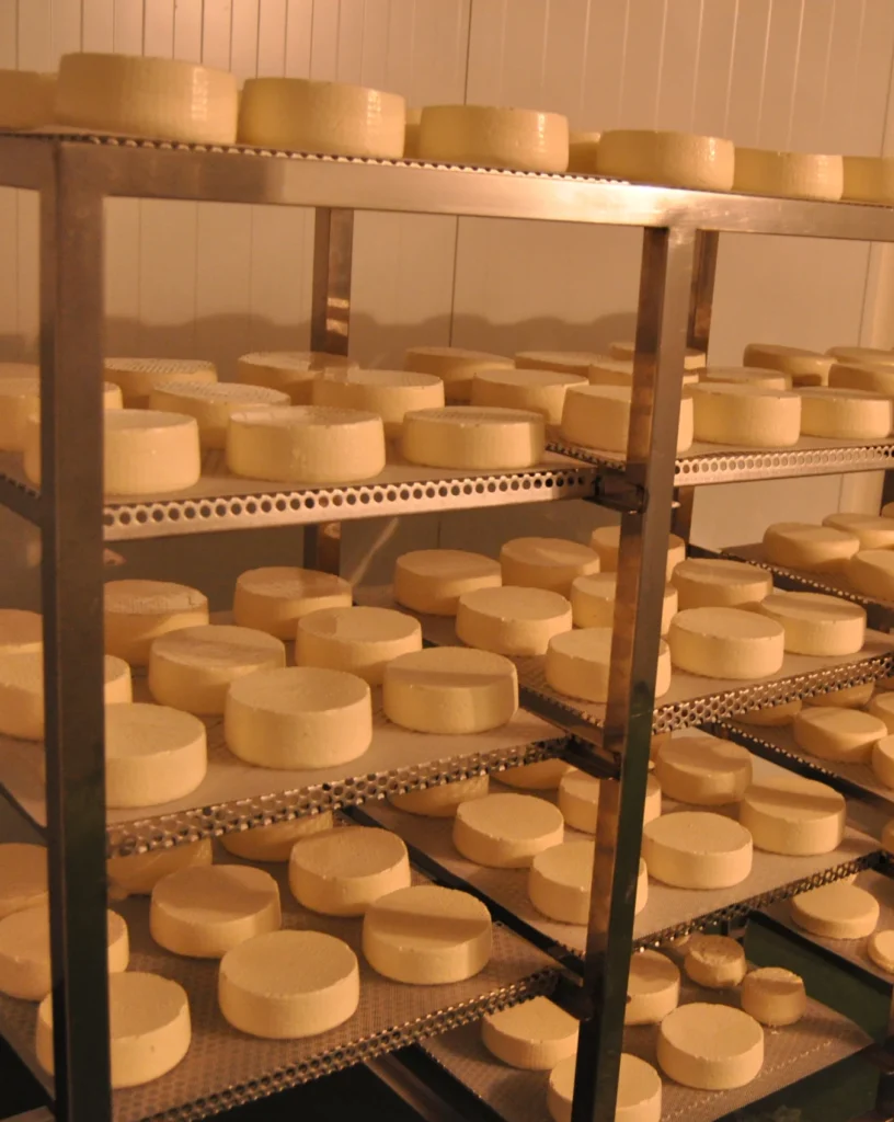 quesos-lazana-afinado