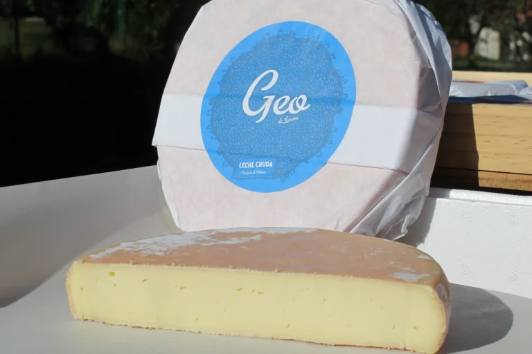 01 QUESO GEO